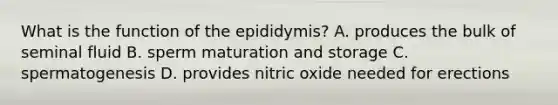 What is the function of the epididymis? A. produces the bulk of seminal fluid B. sperm maturation and storage C. spermatogenesis D. provides nitric oxide needed for erections