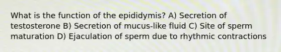 What is the function of the epididymis? A) Secretion of testosterone B) Secretion of mucus-like fluid C) Site of sperm maturation D) Ejaculation of sperm due to rhythmic contractions