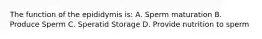 The function of the epididymis is: A. Sperm maturation B. Produce Sperm C. Speratid Storage D. Provide nutrition to sperm