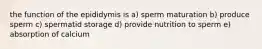 the function of the epididymis is a) sperm maturation b) produce sperm c) spermatid storage d) provide nutrition to sperm e) absorption of calcium