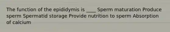 The function of the epididymis is ____ Sperm maturation Produce sperm Spermatid storage Provide nutrition to sperm Absorption of calcium