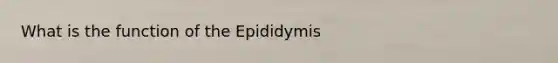 What is the function of the Epididymis