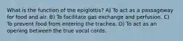 What is the function of the epiglottis? A) To act as a passageway for food and air. B) To facilitate gas exchange and perfusion. C) To prevent food from entering the trachea. D) To act as an opening between the true vocal cords.