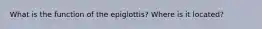 What is the function of the epiglottis? Where is it located?