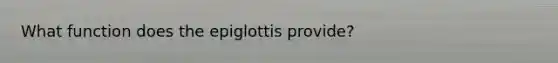 What function does the epiglottis provide?