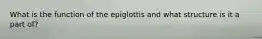 What is the function of the epiglottis and what structure is it a part of?