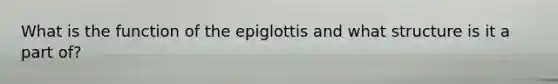 What is the function of the epiglottis and what structure is it a part of?