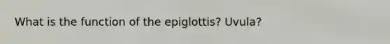 What is the function of the epiglottis? Uvula?