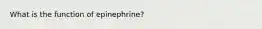 What is the function of epinephrine?