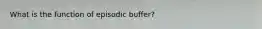 What is the function of episodic buffer?