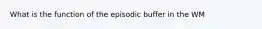 What is the function of the episodic buffer in the WM