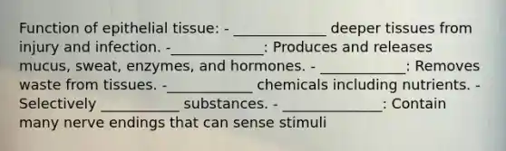 Function of epithelial tissue: - _____________ deeper tissues from injury and infection. -_____________: Produces and releases mucus, sweat, enzymes, and hormones. - ____________: Removes waste from tissues. -____________ chemicals including nutrients. - Selectively ___________ substances. - ______________: Contain many nerve endings that can sense stimuli