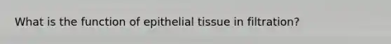 What is the function of epithelial tissue in filtration?