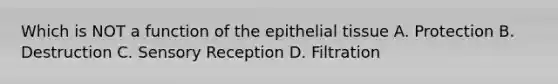 Which is NOT a function of the epithelial tissue A. Protection B. Destruction C. Sensory Reception D. Filtration