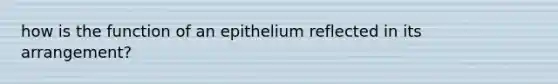 how is the function of an epithelium reflected in its arrangement?