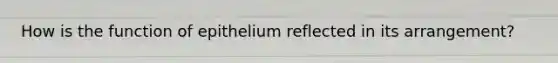 How is the function of epithelium reflected in its arrangement?