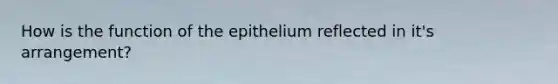 How is the function of the epithelium reflected in it's arrangement?