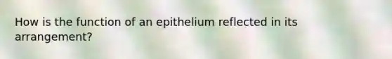 How is the function of an epithelium reflected in its arrangement?