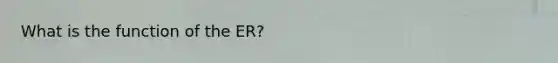 What is the function of the ER?