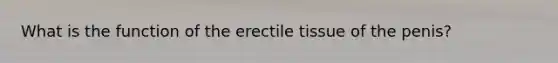 What is the function of the erectile tissue of the penis?