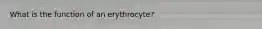 What is the function of an erythrocyte?