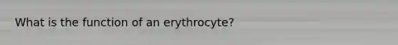 What is the function of an erythrocyte?