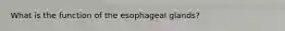 What is the function of the esophageal glands?