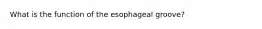 What is the function of the esophageal groove?