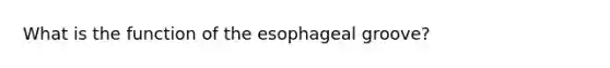 What is the function of the esophageal groove?