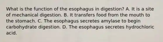 What is the function of the esophagus in digestion? A. It is a site of mechanical digestion. B. It transfers food from the mouth to the stomach. C. The esophagus secretes amylase to begin carbohydrate digestion. D. The esophagus secretes hydrochloric acid.