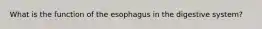 What is the function of the esophagus in the digestive system?