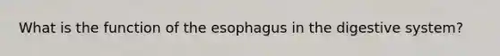 What is the function of the esophagus in the digestive system?