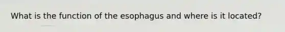 What is the function of the esophagus and where is it located?