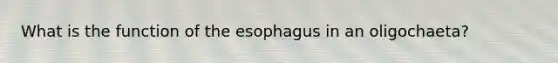 What is the function of the esophagus in an oligochaeta?