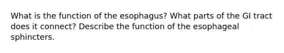 What is the function of the esophagus? What parts of the GI tract does it connect? Describe the function of the esophageal sphincters.