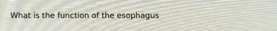 What is the function of the esophagus