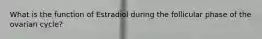 What is the function of Estradiol during the follicular phase of the ovarian cycle?