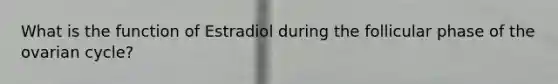 What is the function of Estradiol during the follicular phase of the ovarian cycle?