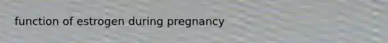 function of estrogen during pregnancy