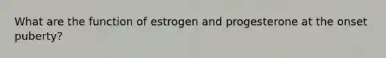 What are the function of estrogen and progesterone at the onset puberty?