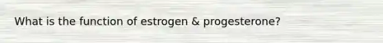 What is the function of estrogen & progesterone?