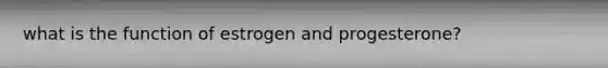 what is the function of estrogen and progesterone?