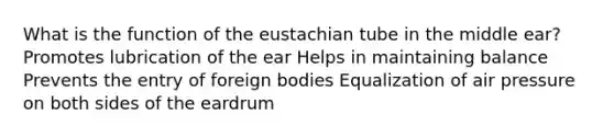 What is the function of the eustachian tube in the middle ear? Promotes lubrication of the ear Helps in maintaining balance Prevents the entry of foreign bodies Equalization of air pressure on both sides of the eardrum