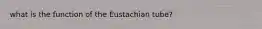 what is the function of the Eustachian tube?