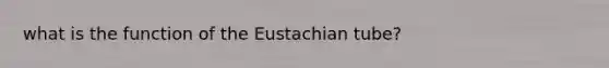 what is the function of the Eustachian tube?