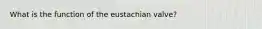 What is the function of the eustachian valve?