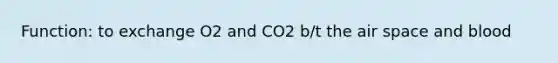 Function: to exchange O2 and CO2 b/t the air space and blood