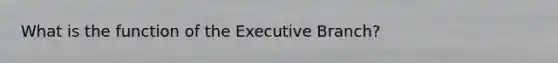 What is the function of the Executive Branch?