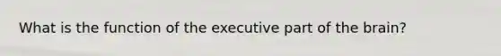 What is the function of the executive part of the brain?