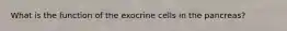 What is the function of the exocrine cells in the pancreas?